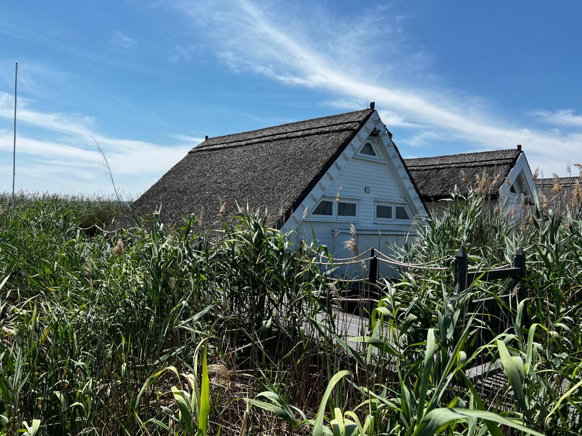 Seehuette Neusiedlersee - Seehaus Inklusive Elektroboot Руст Экстерьер фото